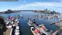 ./images/victoria/wharf/20250707/wharf20250707_133511M.jpg