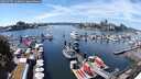 ./images/victoria/wharf/20250707/wharf20250707_140011M.jpg