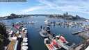 ./images/victoria/wharf/20250707/wharf20250707_141511M.jpg