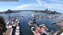 ./images/victoria/wharf/20250707/wharf20250707_142509M.jpg