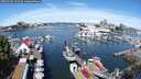 ./images/victoria/wharf/20250708/wharf20250708_103509M.jpg