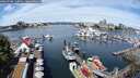 ./images/victoria/wharf/20250708/wharf20250708_110510M.jpg