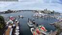 ./images/victoria/wharf/20250708/wharf20250708_115010M.jpg