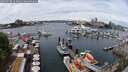 ./images/victoria/wharf/20250708/wharf20250708_125011M.jpg