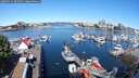 ./images/victoria/wharf/20250711/wharf20250711_095510M.jpg