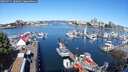 ./images/victoria/wharf/20250711/wharf20250711_100010M.jpg
