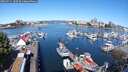 ./images/victoria/wharf/20250711/wharf20250711_100510M.jpg