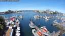 ./images/victoria/wharf/20250711/wharf20250711_115509M.jpg
