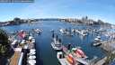 ./images/victoria/wharf/20250711/wharf20250711_131009M.jpg