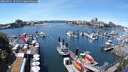 ./images/victoria/wharf/20250711/wharf20250711_131511M.jpg