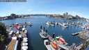 ./images/victoria/wharf/20250711/wharf20250711_132508M.jpg