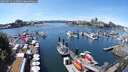 ./images/victoria/wharf/20250711/wharf20250711_133509M.jpg