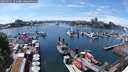 ./images/victoria/wharf/20250711/wharf20250711_151007M.jpg