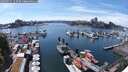 ./images/victoria/wharf/20250711/wharf20250711_153510M.jpg