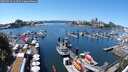 ./images/victoria/wharf/20250712/wharf20250712_134511M.jpg