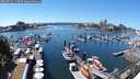 ./images/victoria/wharf/20250712/wharf20250712_135509M.jpg