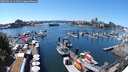 ./images/victoria/wharf/20250712/wharf20250712_141511M.jpg