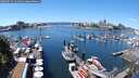 ./images/victoria/wharf/20250713/wharf20250713_131009M.jpg