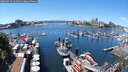 ./images/victoria/wharf/20250713/wharf20250713_131511M.jpg
