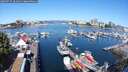 ./images/victoria/wharf/20250715/wharf20250715_101011M.jpg