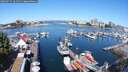 ./images/victoria/wharf/20250715/wharf20250715_101511M.jpg