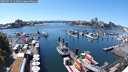./images/victoria/wharf/20250715/wharf20250715_143508M.jpg