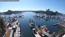 ./images/victoria/wharf/20250715/wharf20250715_170510M.jpg