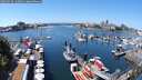 ./images/victoria/wharf/20250716/wharf20250716_132010M.jpg