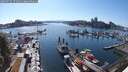 ./images/victoria/wharf/20250716/wharf20250716_171011M.jpg