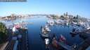 ./images/victoria/wharf/20250717/wharf20250717_074510M.jpg