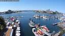 ./images/victoria/wharf/20250717/wharf20250717_131511M.jpg