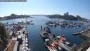 ./images/victoria/wharf/20250717/wharf20250717_170510M.jpg
