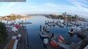 ./images/victoria/wharf/20250718/wharf20250718_061011M.jpg