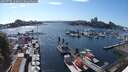 ./images/victoria/wharf/20250718/wharf20250718_163011M.jpg