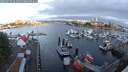 ./images/victoria/wharf/20250719/wharf20250719_061010M.jpg