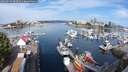 ./images/victoria/wharf/20250720/wharf20250720_085510M.jpg