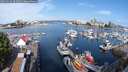 ./images/victoria/wharf/20250720/wharf20250720_092008M.jpg
