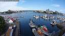 ./images/victoria/wharf/20250720/wharf20250720_093011M.jpg