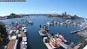 ./images/victoria/wharf/20250721/wharf20250721_143509M.jpg