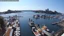 ./images/victoria/wharf/20250722/wharf20250722_163509M.jpg