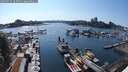 ./images/victoria/wharf/20250722/wharf20250722_165511M.jpg