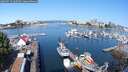 ./images/victoria/wharf/20250723/wharf20250723_100509M.jpg