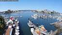 ./images/victoria/wharf/20250723/wharf20250723_113010M.jpg