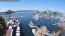 ./images/victoria/wharf/20250723/wharf20250723_114011M.jpg