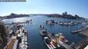./images/victoria/wharf/20250723/wharf20250723_170510M.jpg