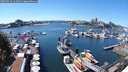 ./images/victoria/wharf/20250724/wharf20250724_141012M.jpg