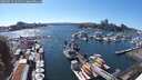 ./images/victoria/wharf/20250724/wharf20250724_161511M.jpg