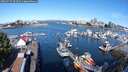 ./images/victoria/wharf/20250725/wharf20250725_093511M.jpg