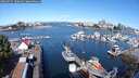 ./images/victoria/wharf/20250725/wharf20250725_100011M.jpg