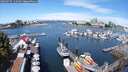 ./images/victoria/wharf/20250725/wharf20250725_111008M.jpg